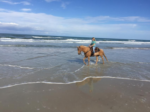 Equestrian Adventures FL - Guided Horseback Rides - Equestrian Adventures